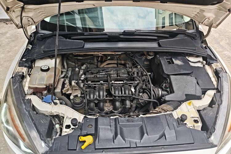 Used Ford Focus 2015 Hatchback 1.6L Automatic Fashion Edition Engine Bay