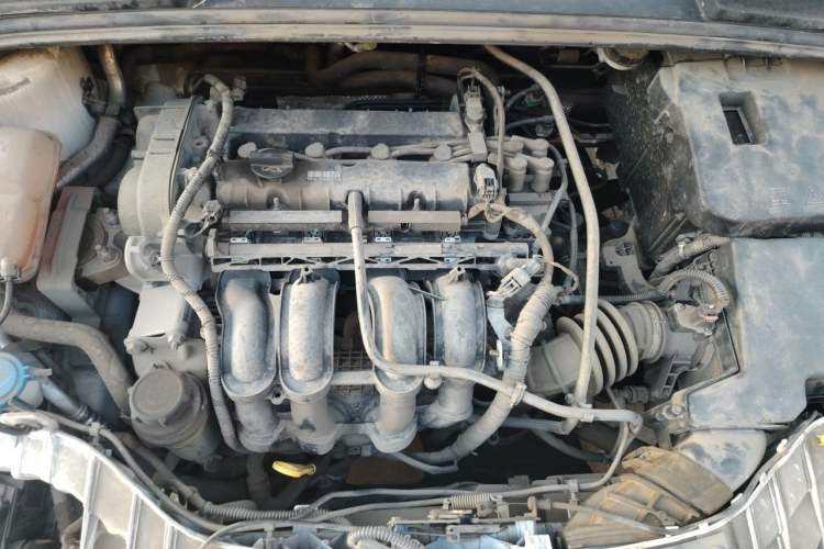 Used Ford Focus 2015 Hatchback 1.6L Manual Fashion Edition Engine Bay