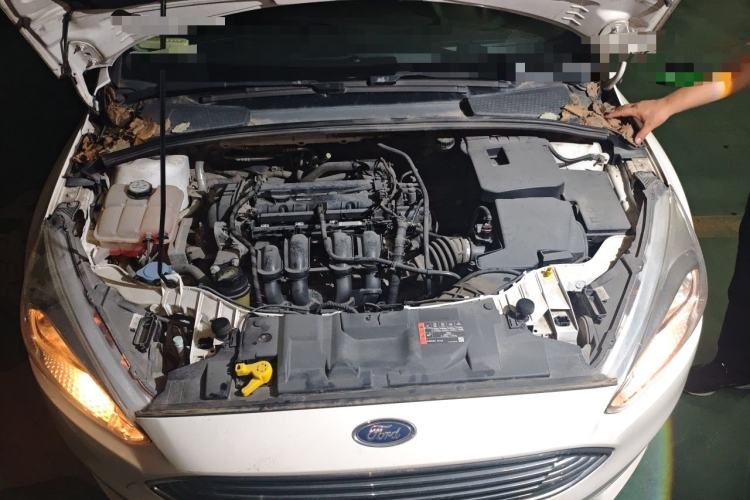 Used Ford Focus 2015 Sedan 1.6L Manual Comfort Model Engine Bay