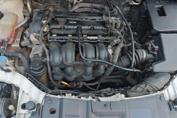 Used Ford Focus 2015 Sedan 1.6L Automatic Trend Model Engine Bay