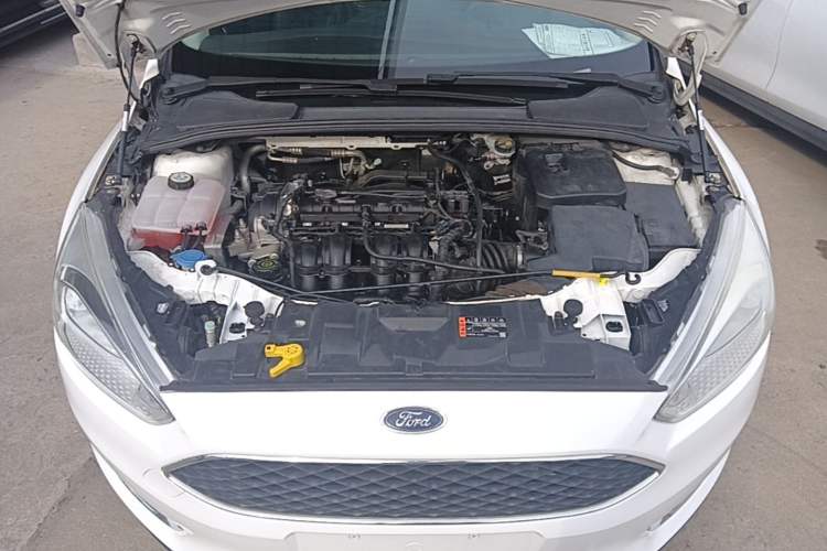 Used Ford Focus 2015 Hatchback 1.6L Automatic Fashion Edition Engine Bay