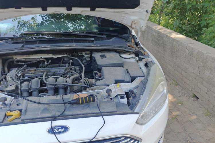 Used Ford Focus 2015 Sedan 1.6L Manual Fashion Edition Engine Bay Left