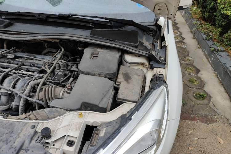 Used Ford Focus 2015 Sedan 1.6L Automatic Trend Model Engine Bay Left