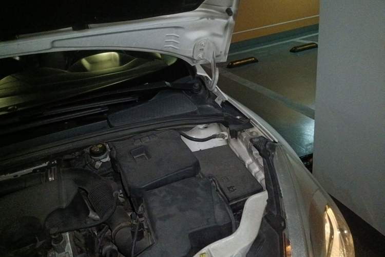 Used Ford Focus 2015 Sedan EcoBoost 125 Automatic Supreme Style Edition Engine Bay Left