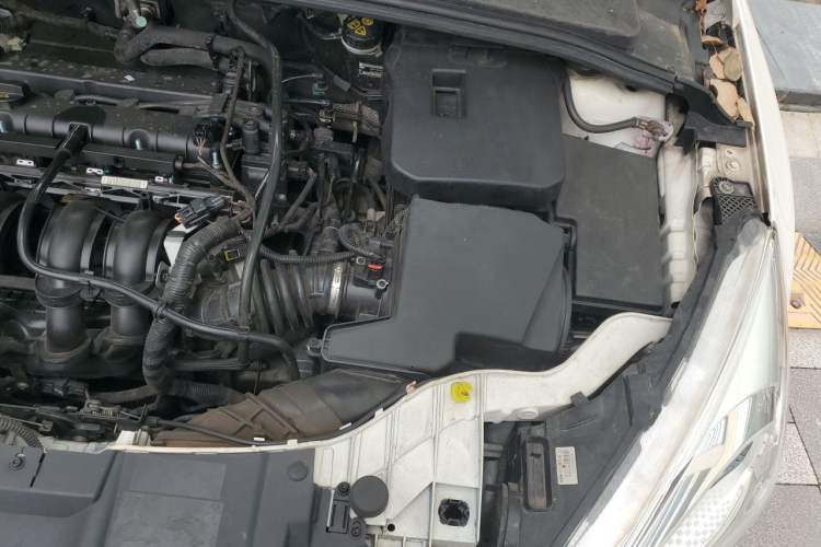 Used Ford Focus 2015 Hatchback 1.6L Automatic Fashion Edition Engine Bay Left