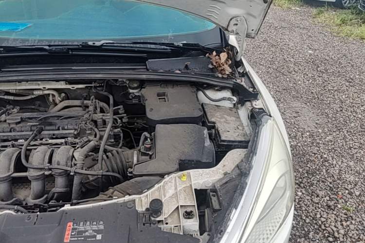 Used Ford Focus 2015 Sedan 1.6L Manual Comfort Model Engine Bay Left