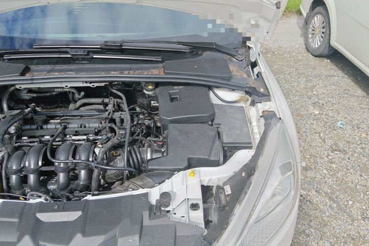 Used Ford Focus 2015 Hatchback 1.6L Automatic Comfort Model Engine Bay Left