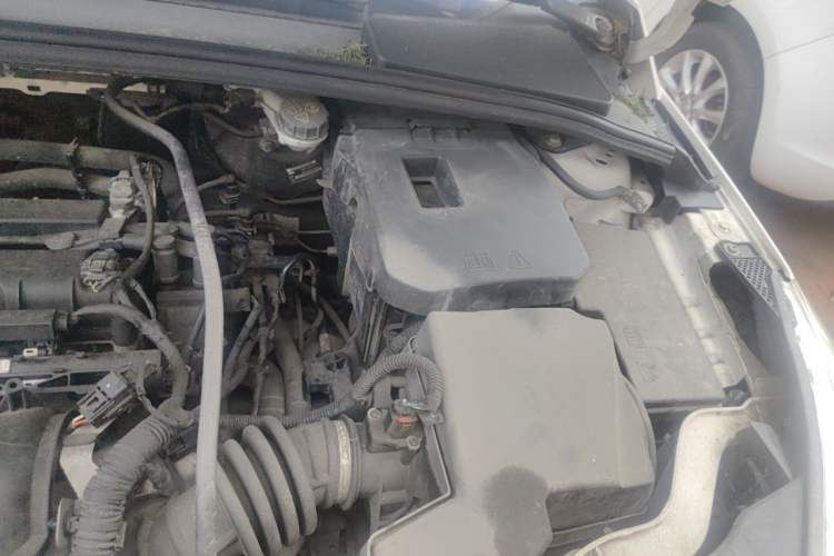 Used Ford Focus 2015 Hatchback 1.6L Automatic Comfort Model Engine Bay Left