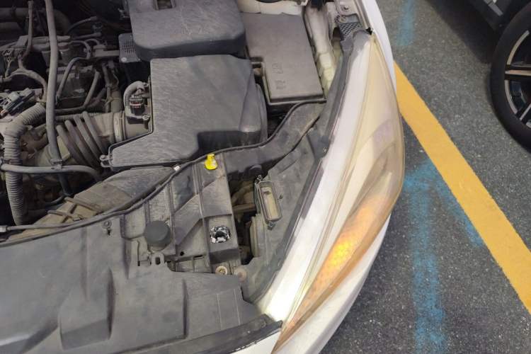 Used Ford Focus 2015 Hatchback 1.6L Automatic Comfort Model Engine Bay Left