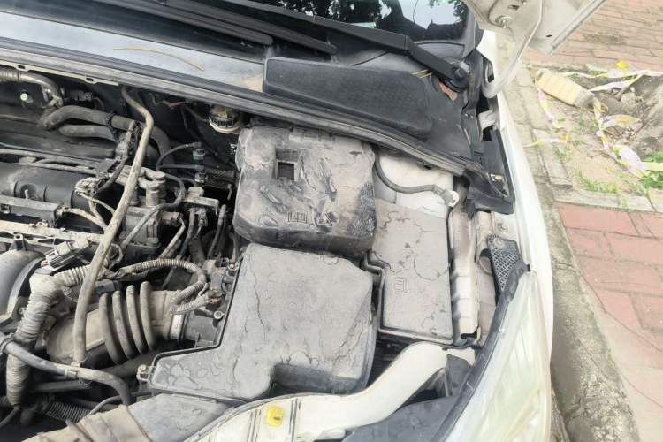 Used Ford Focus 2015 Hatchback 1.6L Automatic Fashion Edition Engine Bay Left