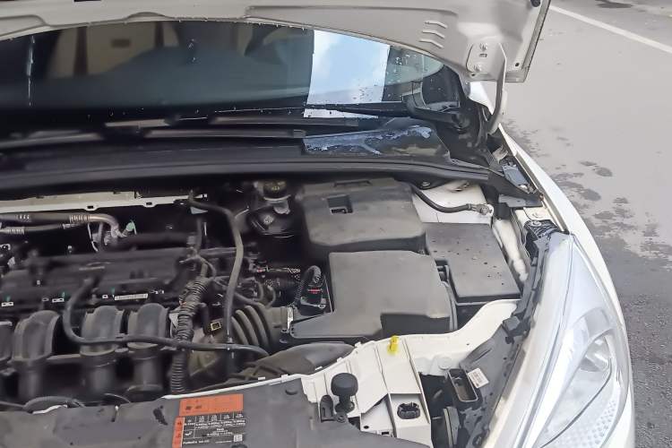 Used Ford Focus 2015 Hatchback 1.6L Manual Fashion Edition Engine Bay Left