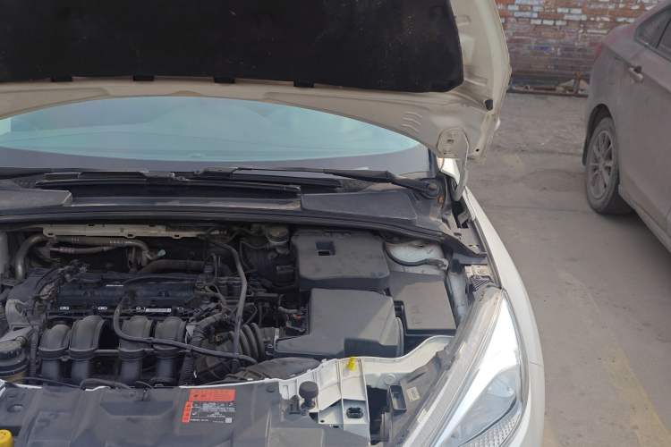 Used Ford Focus 2015 Hatchback 1.6L Automatic Fashion Edition Engine Bay Left