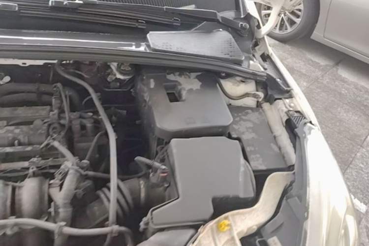 Used Ford Focus 2015 Sedan 1.6L Manual Fashion Edition Engine Bay Left