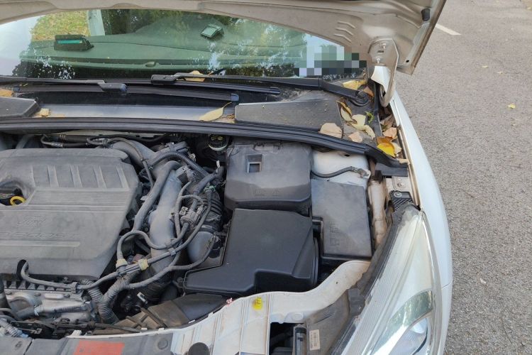 Used Ford Focus 2015 Hatchback EcoBoost 180 Automatic Elite Model Engine Bay Left