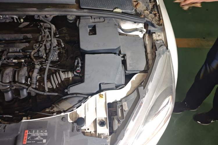 Used Ford Focus 2015 Sedan 1.6L Manual Comfort Model Engine Bay Left