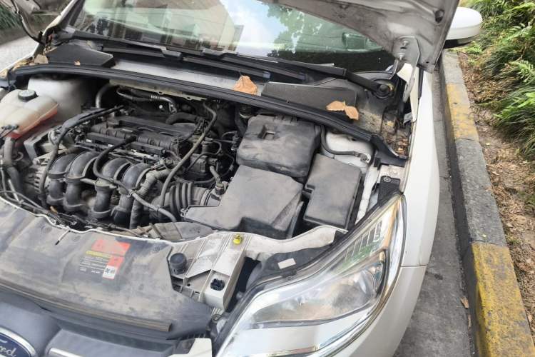 Used Ford Focus 2015 Sedan 1.6L Manual Comfort Model Engine Bay Left