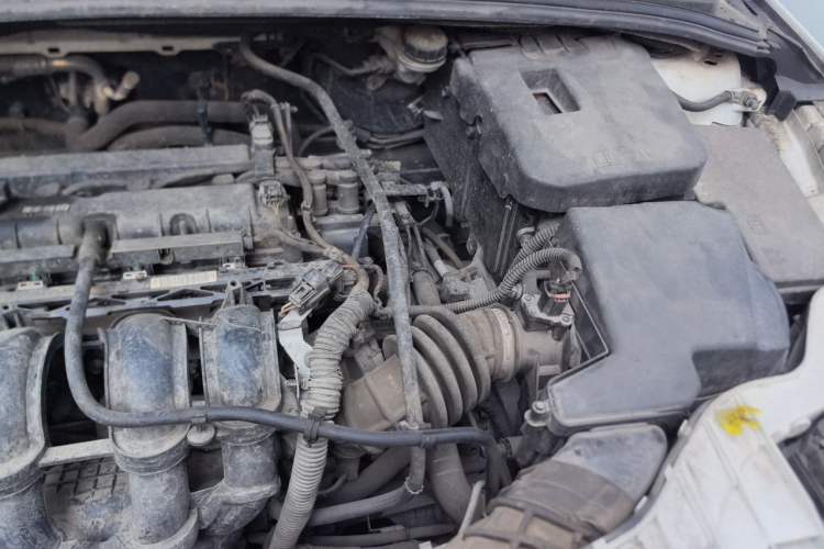Used Ford Focus 2015 Hatchback 1.6L Automatic Fashion Edition Engine Bay Left