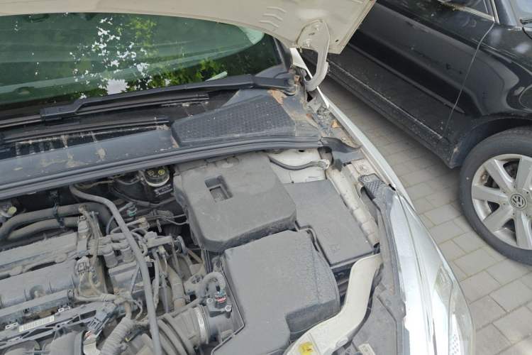 Used Ford Focus 2015 Hatchback 1.6L Automatic Fashion Edition Engine Bay Left