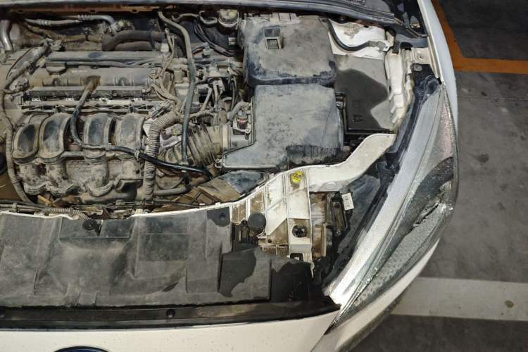 Used Ford Focus 2015 Hatchback 1.6L Automatic Fashion Edition Engine Bay Left