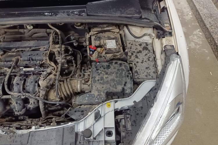 Used Ford Focus 2015 Sedan 1.6L Manual Comfort Model Engine Bay Left
