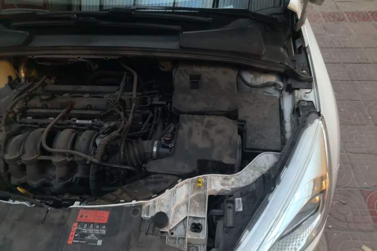 Used Ford Focus 2015 Hatchback 1.6L Automatic Fashion Edition Engine Bay Left
