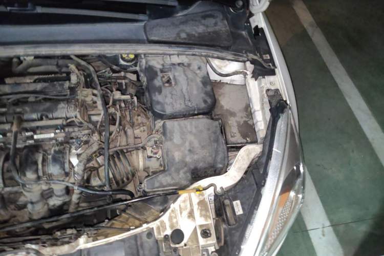 Used Ford Focus 2015 Hatchback 1.6L Automatic Comfort Model Engine Bay Left