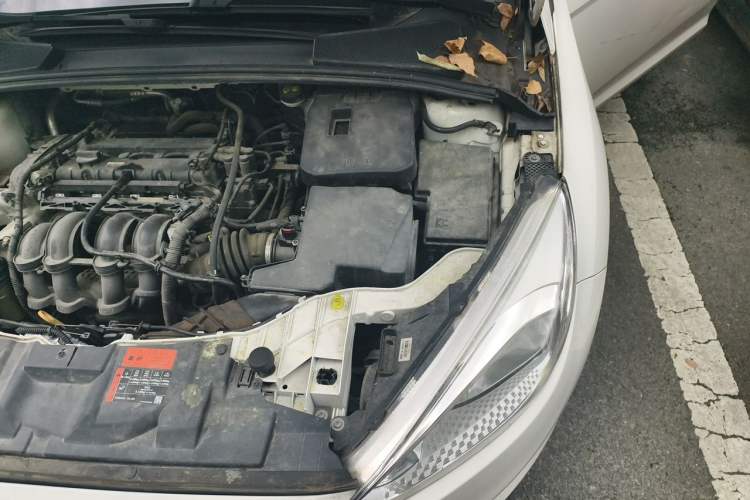 Used Ford Focus 2015 Hatchback 1.6L Automatic Comfort Model Engine Bay Left