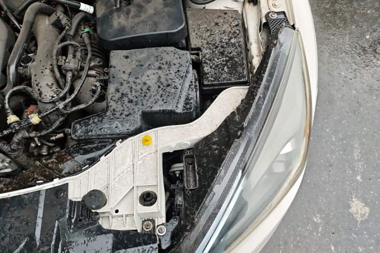 Used Ford Focus 2015 Hatchback EcoBoost 180 Automatic Elite Model Engine Bay Left