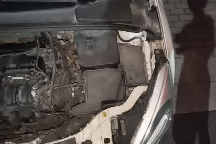 Used Ford Focus 2015 Sedan 1.6L Manual Comfort Model Engine Bay Left