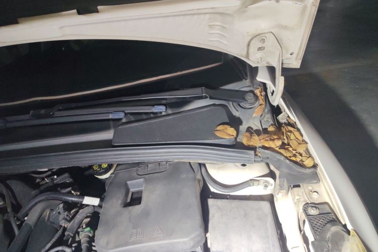 Used Ford Focus 2015 Sedan EcoBoost 180 Automatic Elite Model Engine Bay Left