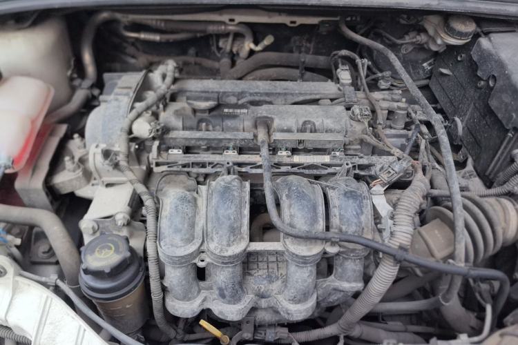 Used Ford Focus 2015 Hatchback 1.6L Automatic Fashion Edition Engine Bay