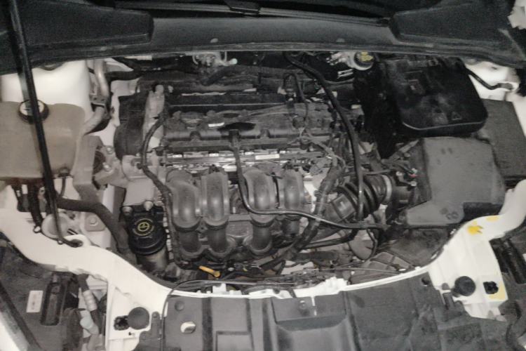 Used Ford Focus 2015 Hatchback 1.6L Automatic Fashion Edition Engine Bay