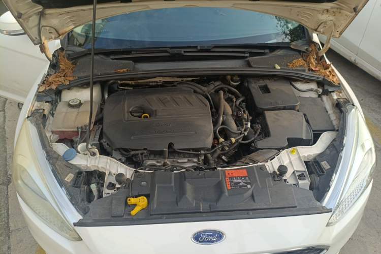 Used Ford Focus 2015 Hatchback EcoBoost 180 Automatic Elite Model Engine Bay