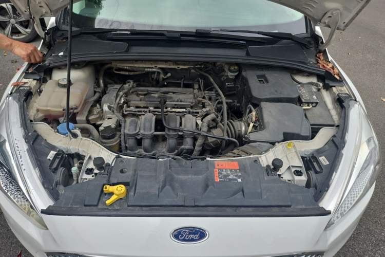 Used Ford Focus 2015 Sedan 1.6L Automatic Trend Model Engine Bay
