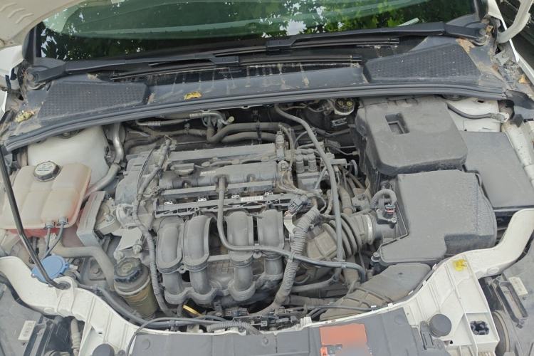 Used Ford Focus 2015 Hatchback 1.6L Automatic Fashion Edition Engine Bay