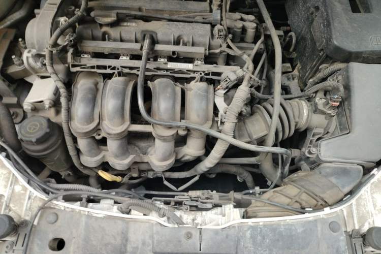 Used Ford Focus 2015 Hatchback 1.6L Automatic Fashion Edition Engine Bay