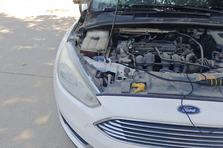 Used Ford Focus 2015 Sedan 1.6L Manual Fashion Edition Engine Bay Right