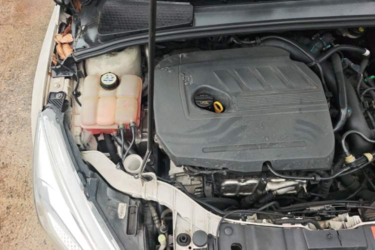 Used Ford Focus 2015 Sedan EcoBoost 180 Automatic Elite Model Engine Bay Right