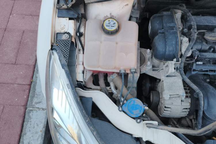 Used Ford Focus 2015 Sedan 1.6L Manual Comfort Model Engine Bay Right