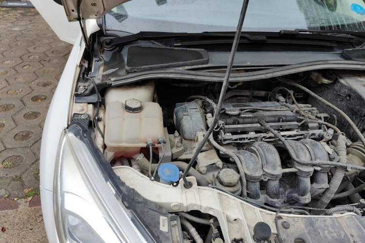 Used Ford Focus 2015 Sedan 1.6L Automatic Trend Model Engine Bay Right
