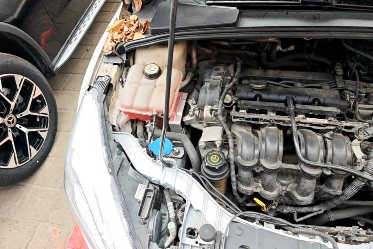 Used Ford Focus 2015 Hatchback 1.6L Automatic Fashion Edition Engine Bay Right