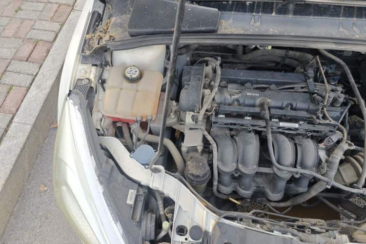 Used Ford Focus 2015 Sedan 1.6L Manual Comfort Model Engine Bay Right