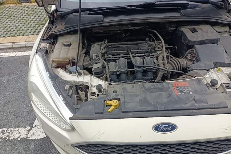 Used Ford Focus 2015 Hatchback 1.6L Automatic Fashion Edition Engine Bay Right