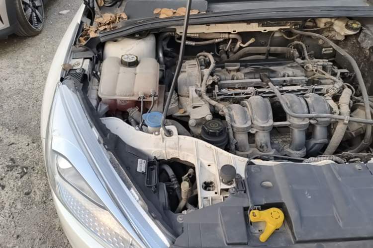 Used Ford Focus 2015 Hatchback 1.6L Automatic Comfort Model Engine Bay Right