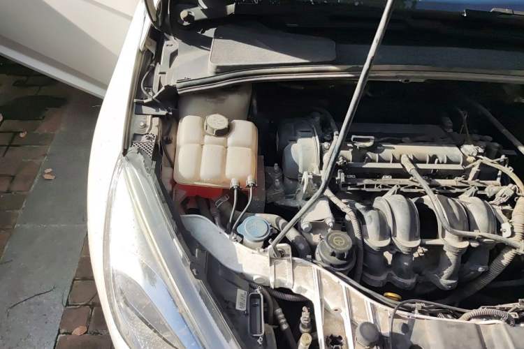 Used Ford Focus 2015 Sedan 1.6L Automatic Trend Model Engine Bay Right