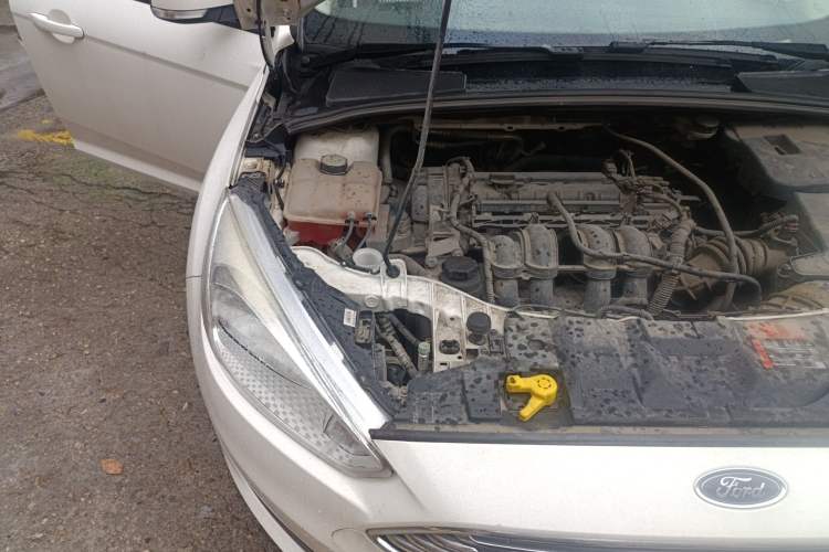 Used Ford Focus 2015 Sedan 1.6L Automatic Trend Model Engine Bay Right