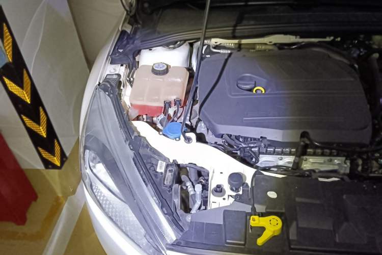 Used Ford Focus 2015 Hatchback EcoBoost 180 Automatic Elite Model Engine Bay Right
