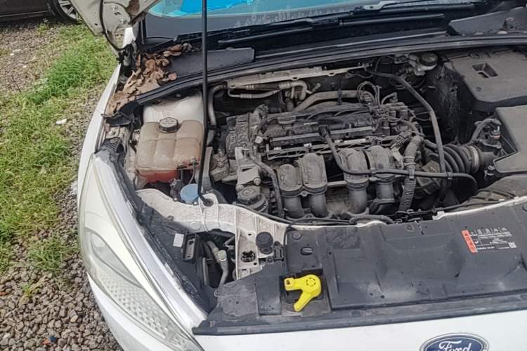 Used Ford Focus 2015 Sedan 1.6L Manual Comfort Model Engine Bay Right