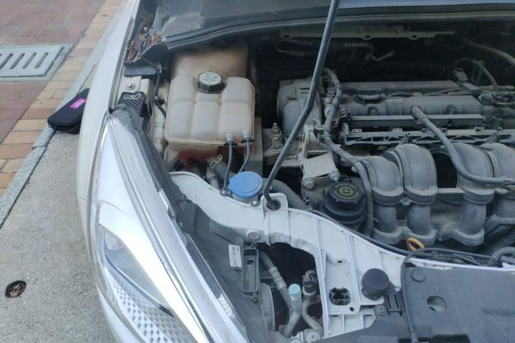 Used Ford Focus 2015 Sedan 1.6L Automatic Trend Model Engine Bay Right