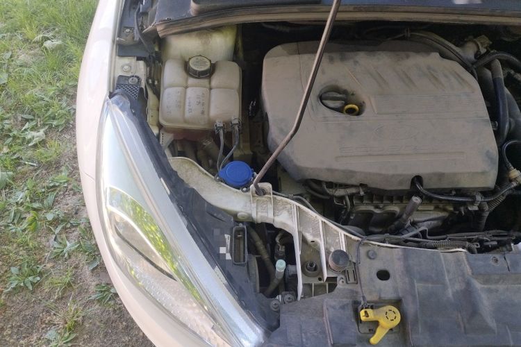 Used Ford Focus 2015 Hatchback EcoBoost 180 Automatic Elite Model Engine Bay Right